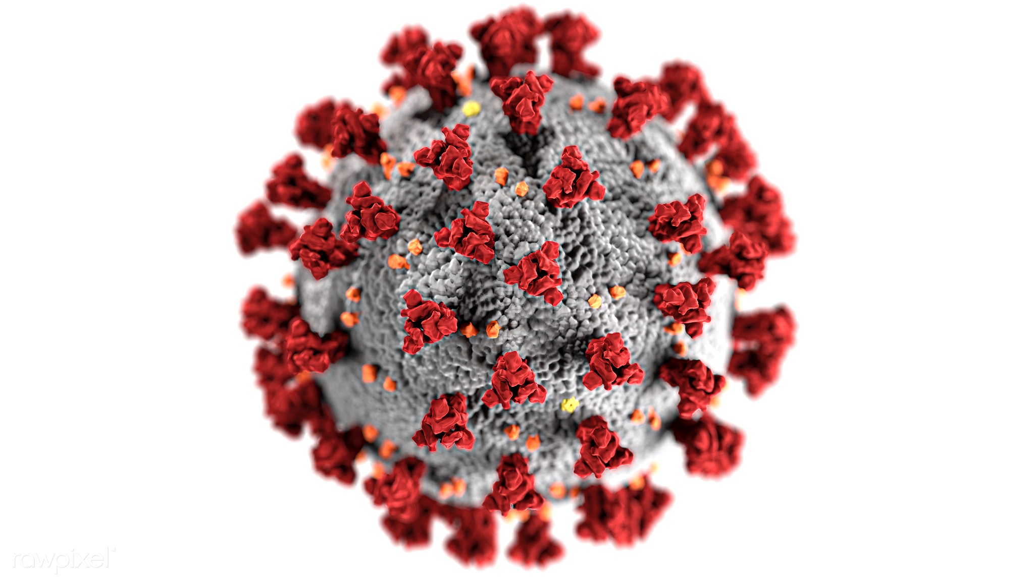 Coronavirus weisser Hintergrund